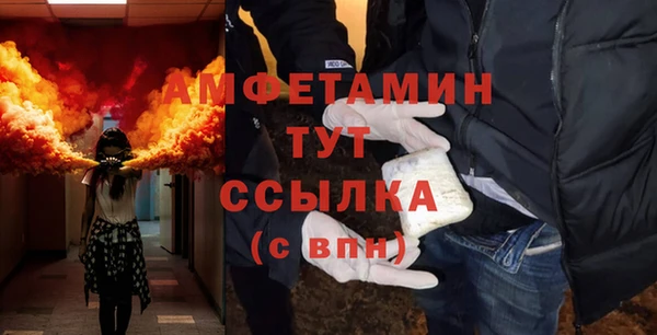 дмт Богданович