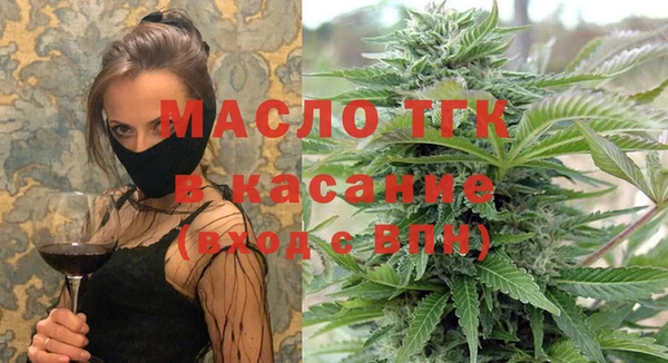дмт Богданович