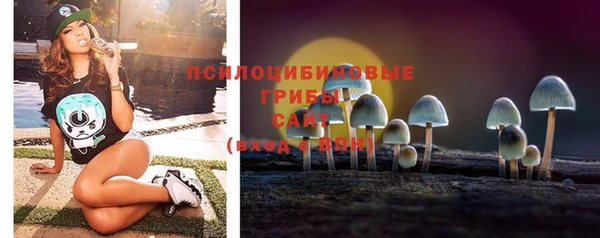 jwh Богородск