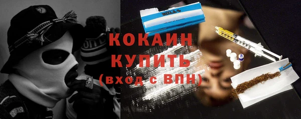 дмт Богданович