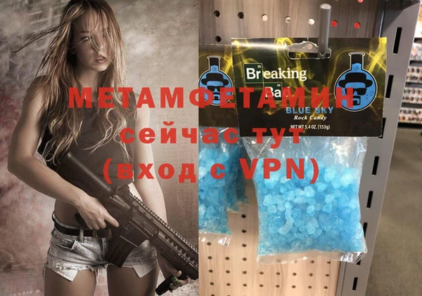 дмт Богданович