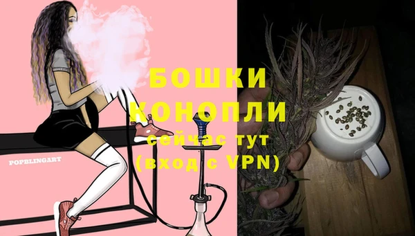 дмт Богданович