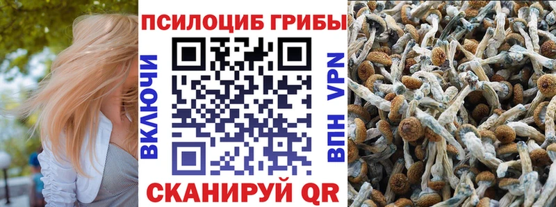 Псилоцибиновые грибы Psilocybe маркетплейс Telegram Дагестанские Огни