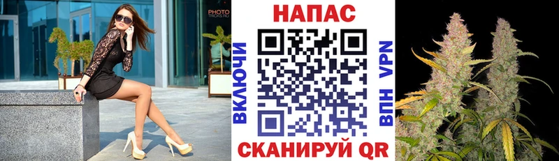 маркетплейс официальный сайт  Дагестанские Огни  Конопля Bruce Banner 